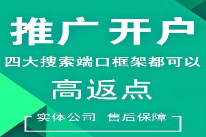 SEO与SEM服务结合的实战案例