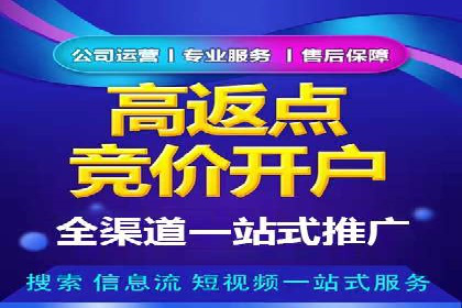 实战技巧：竞价推广案例解析与优化策略